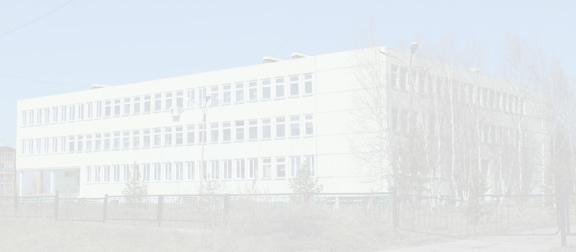 kollback1.jpg